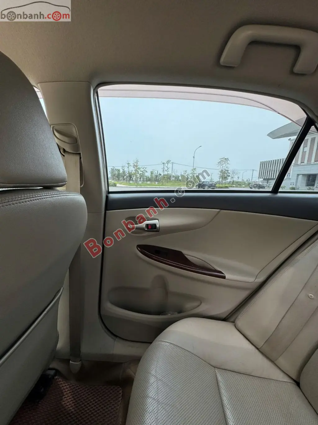 Hình ảnh số 2