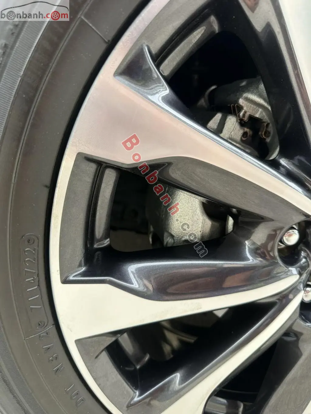 Hình ảnh số 10