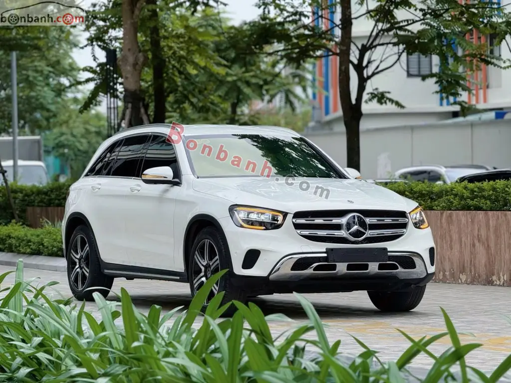 Hình ảnh số 3