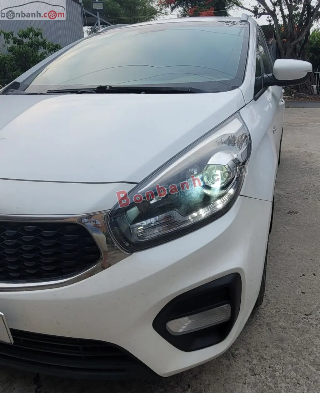 Hình ảnh số 3