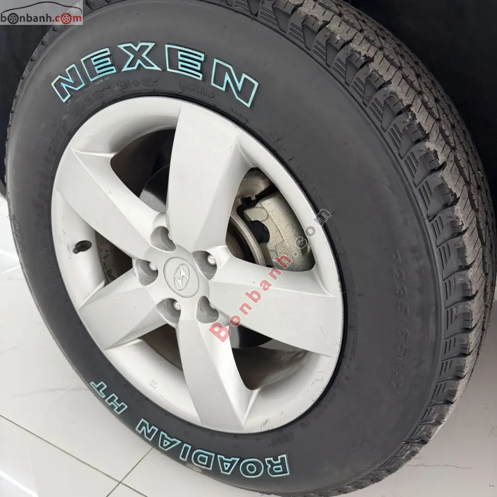 Hình ảnh số 10