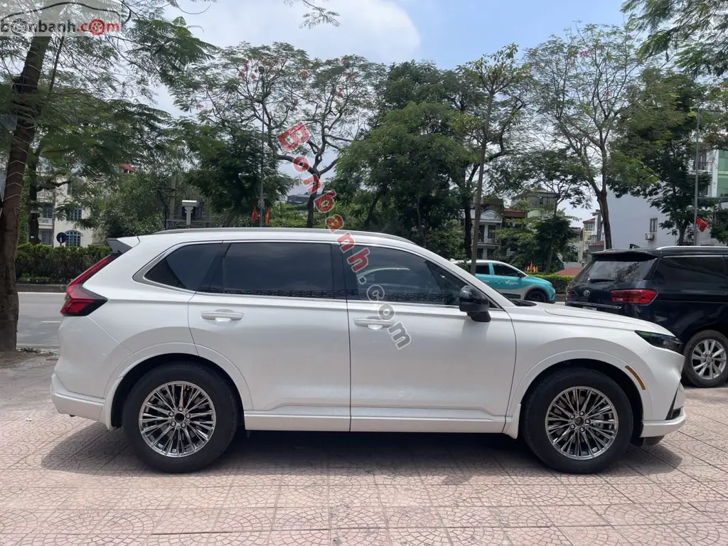 Hình ảnh số 3