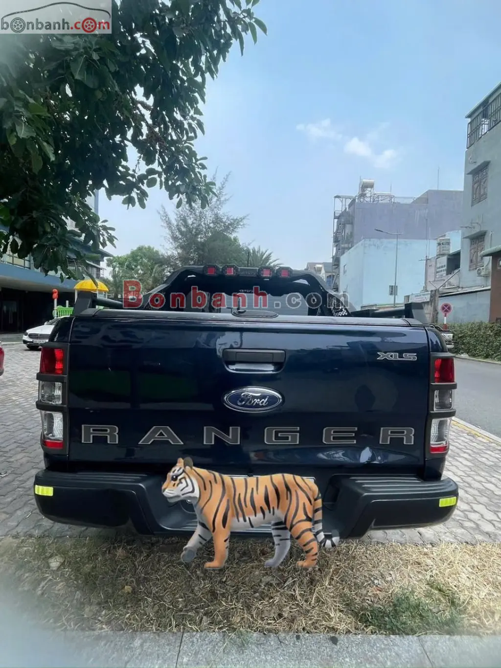Hình ảnh số 2