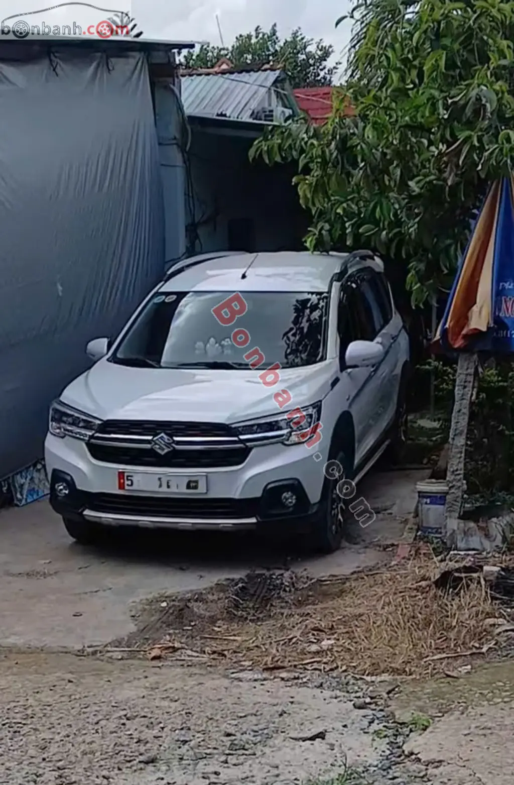 Hình ảnh số 2
