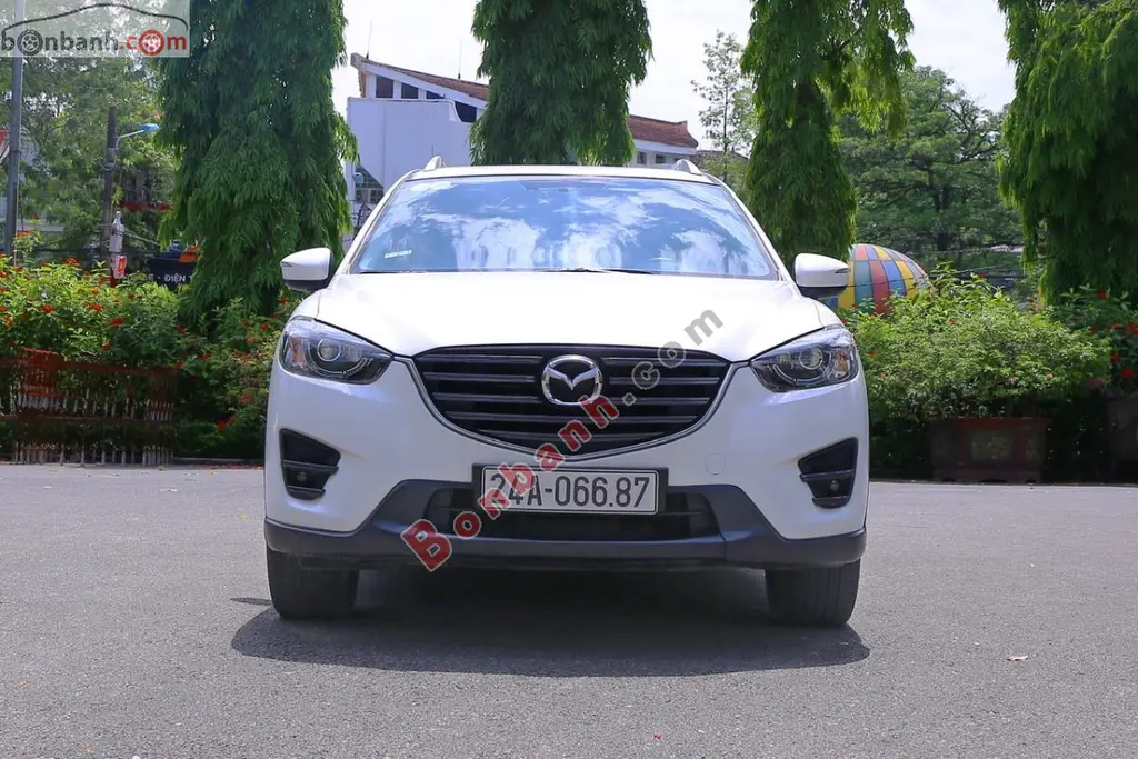 Hình ảnh số 2