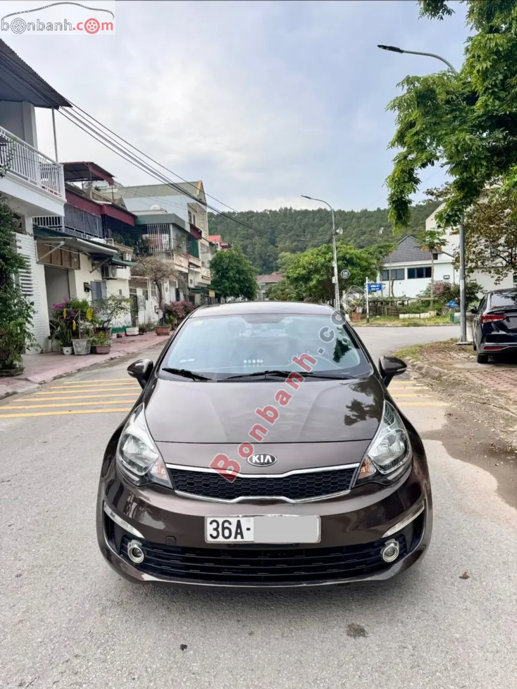 Hình ảnh số 3