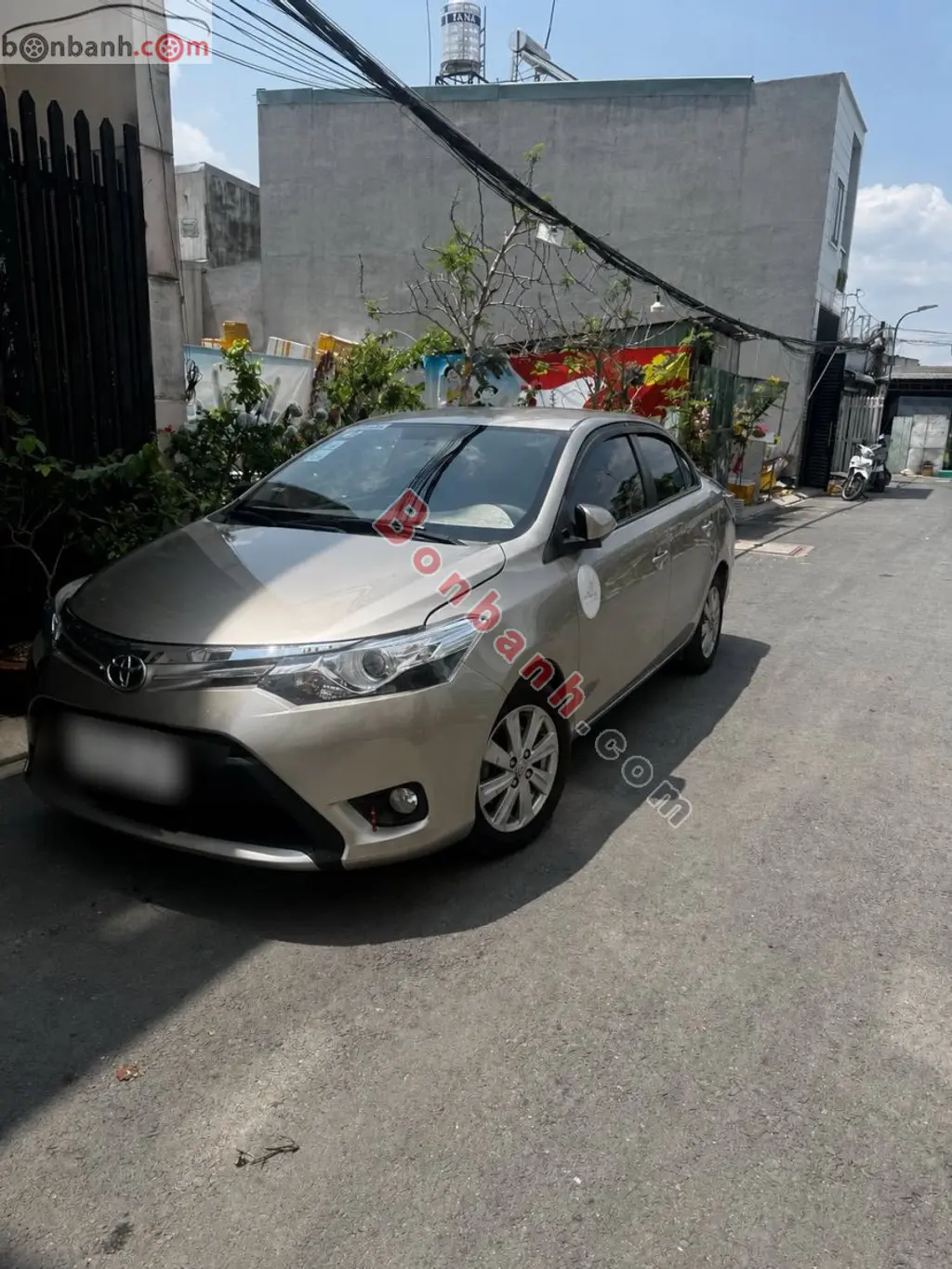 Hình ảnh số 3