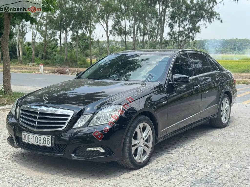 Hình ảnh số 2