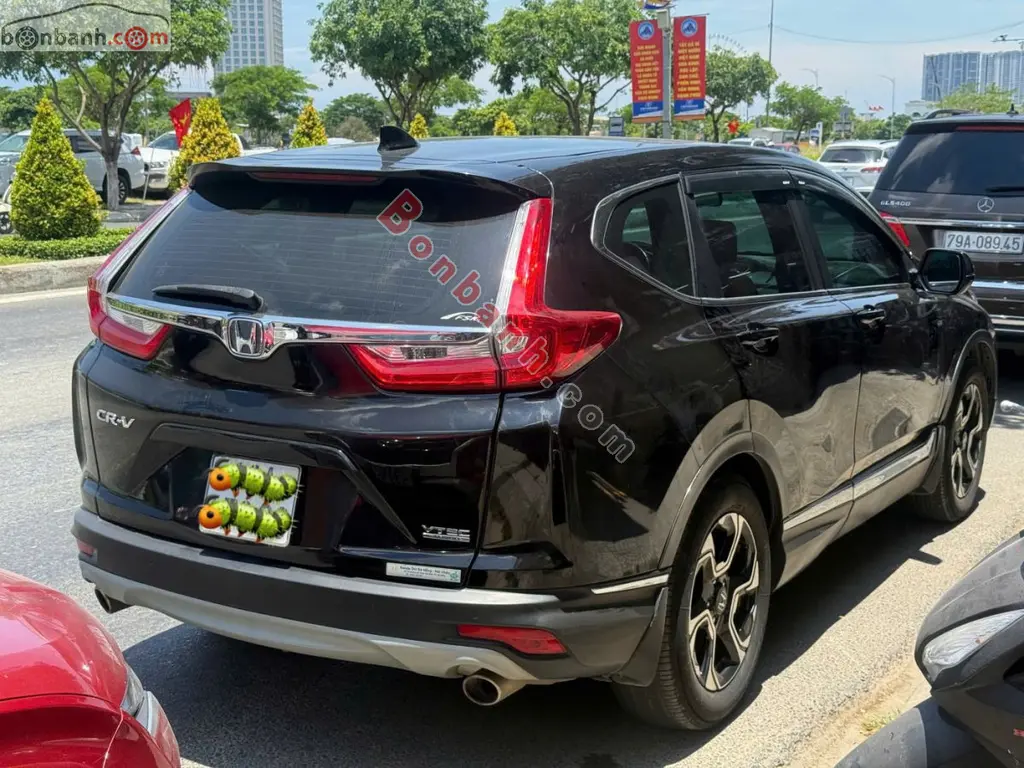 Hình ảnh số 2
