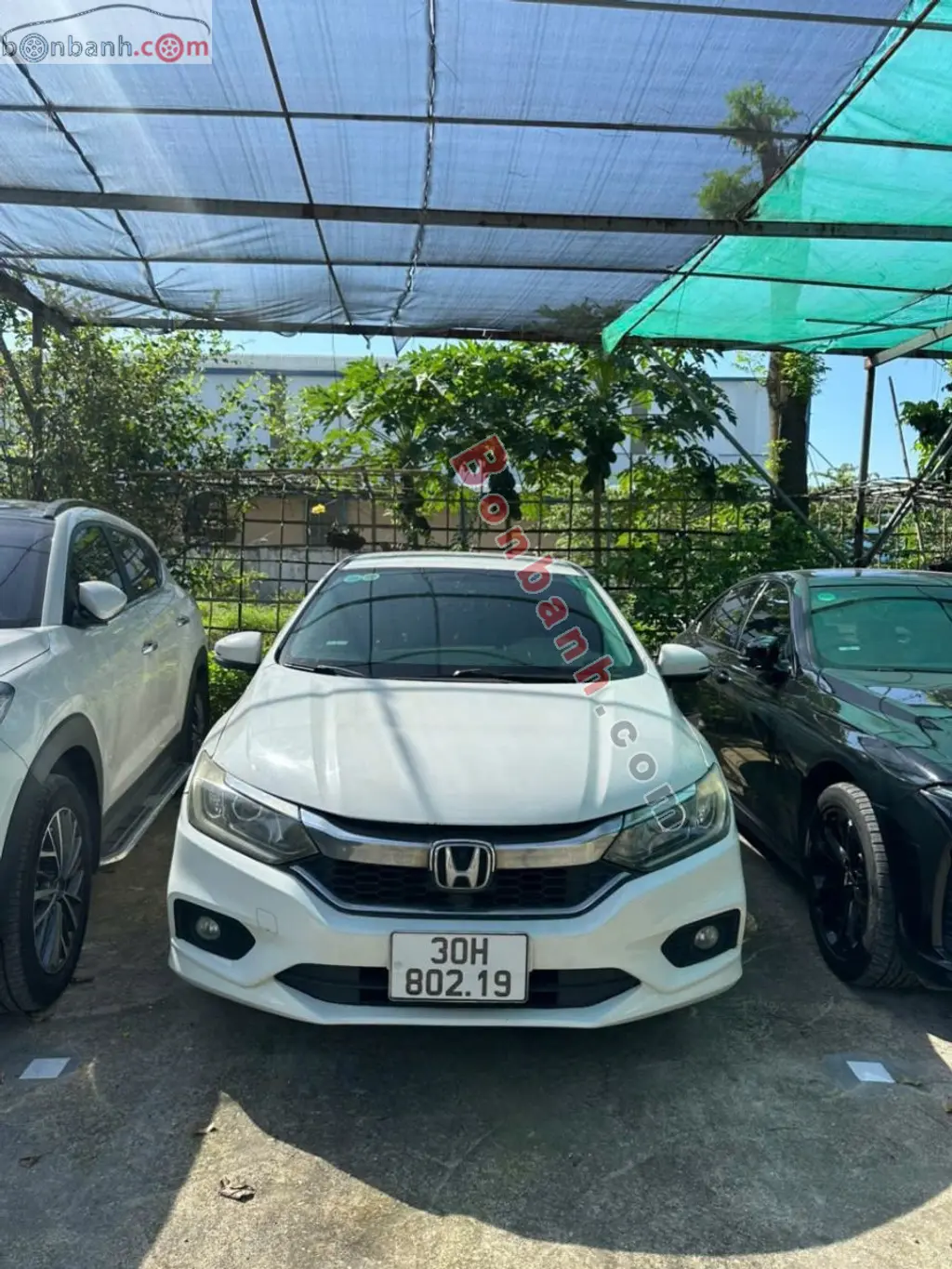 Hình ảnh số 4