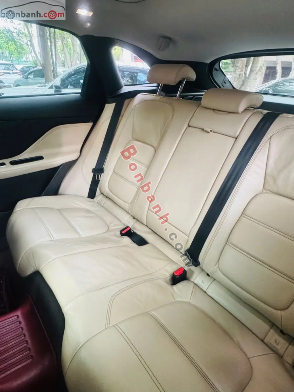 Hình ảnh số 10