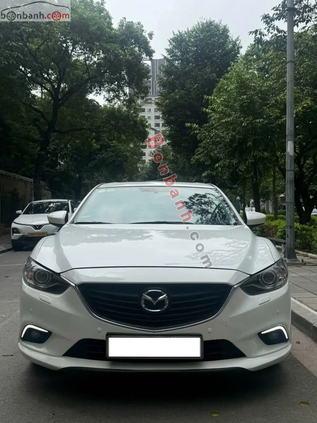 Hình ảnh số 3