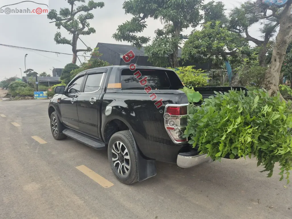 Hình ảnh số 4
