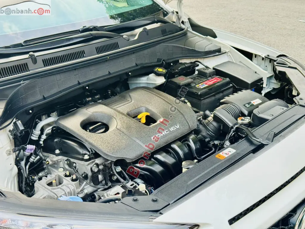 Hình ảnh số 10