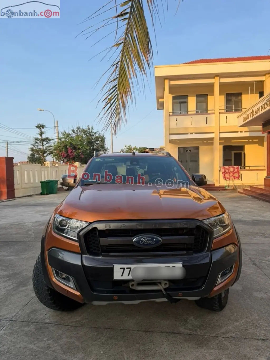 Hình ảnh số 2