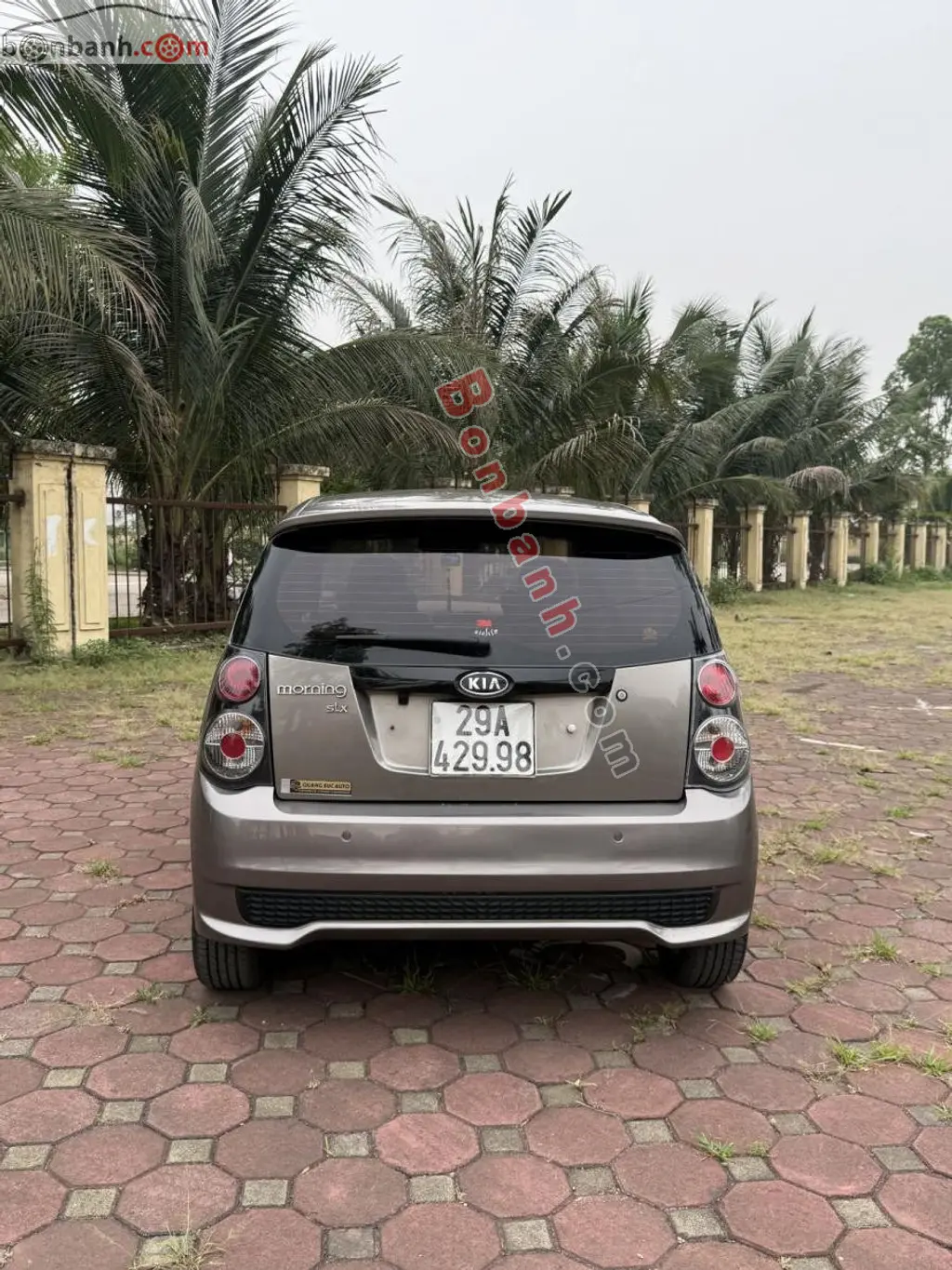Hình ảnh số 2