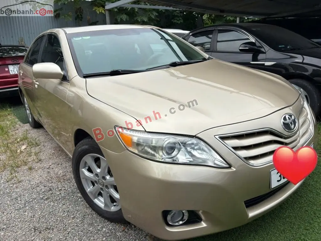 Hình ảnh số 2