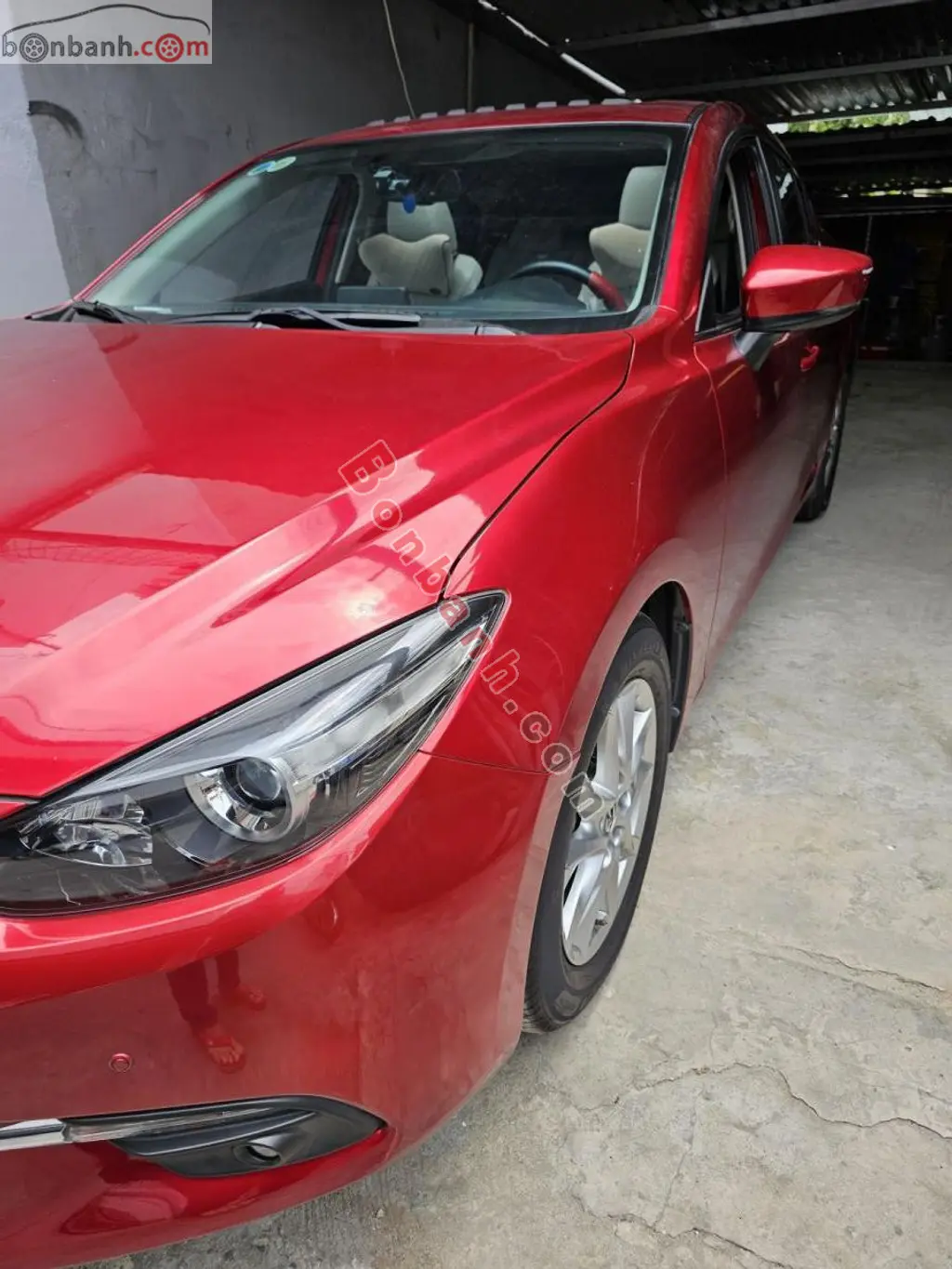 Hình ảnh số 2