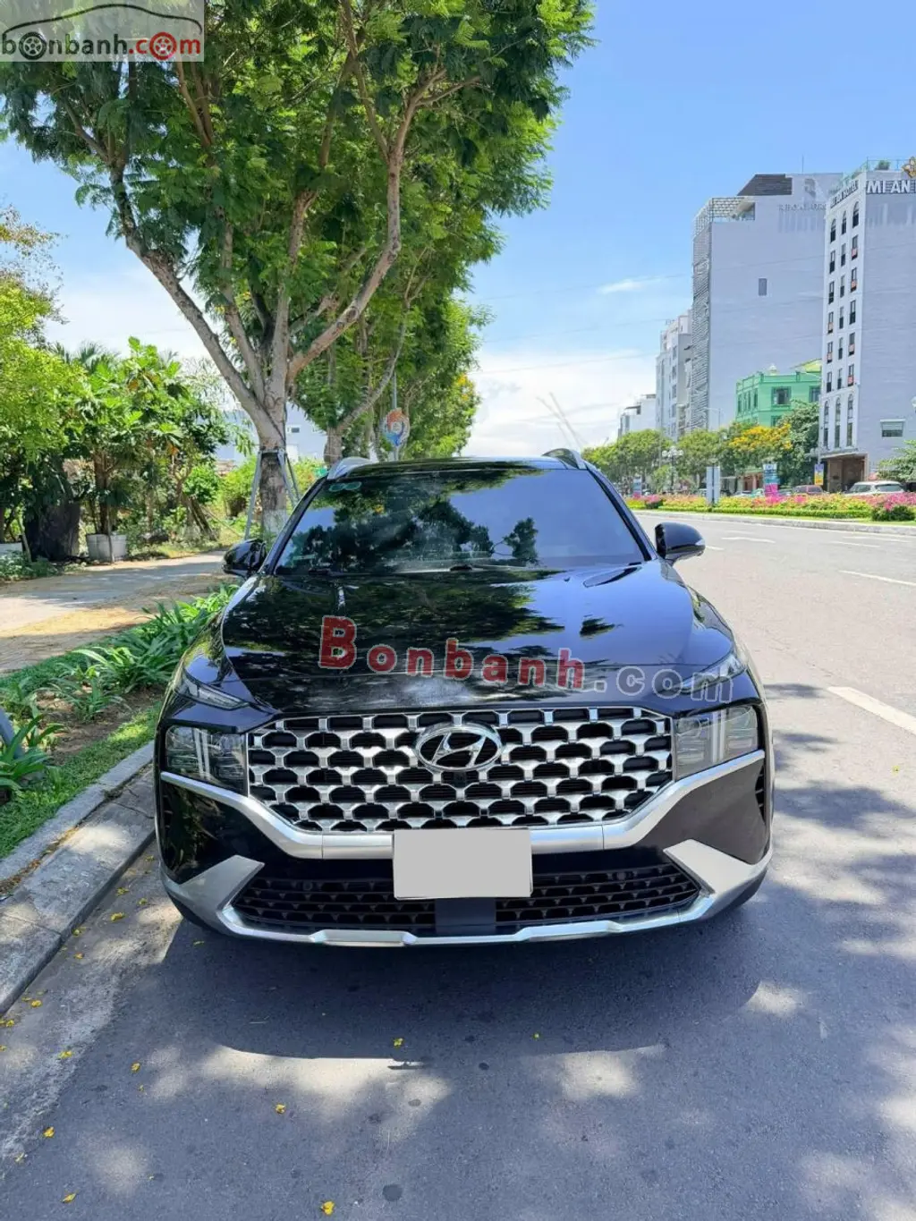 Hình ảnh số 2
