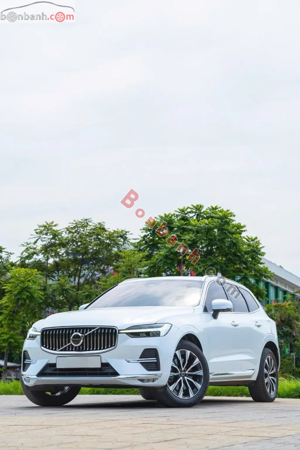 Hình ảnh số 3