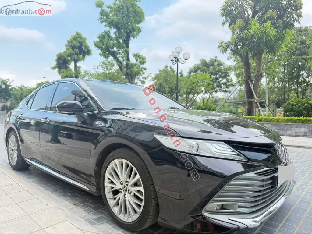 Hình ảnh số 2