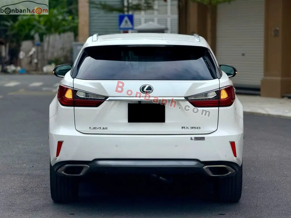 Hình ảnh số 5