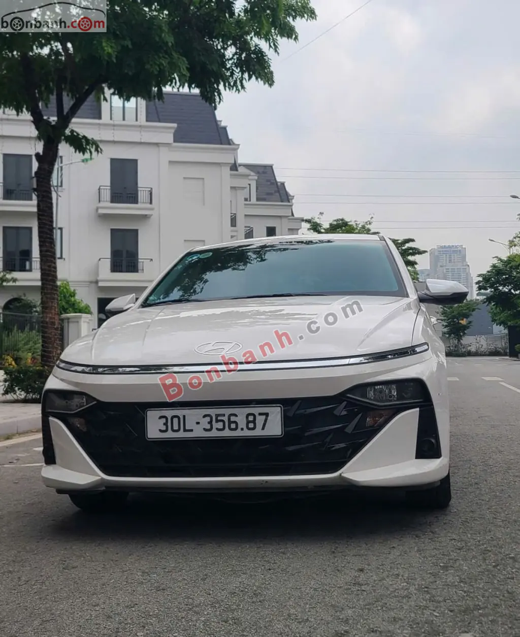 Hình ảnh số 2