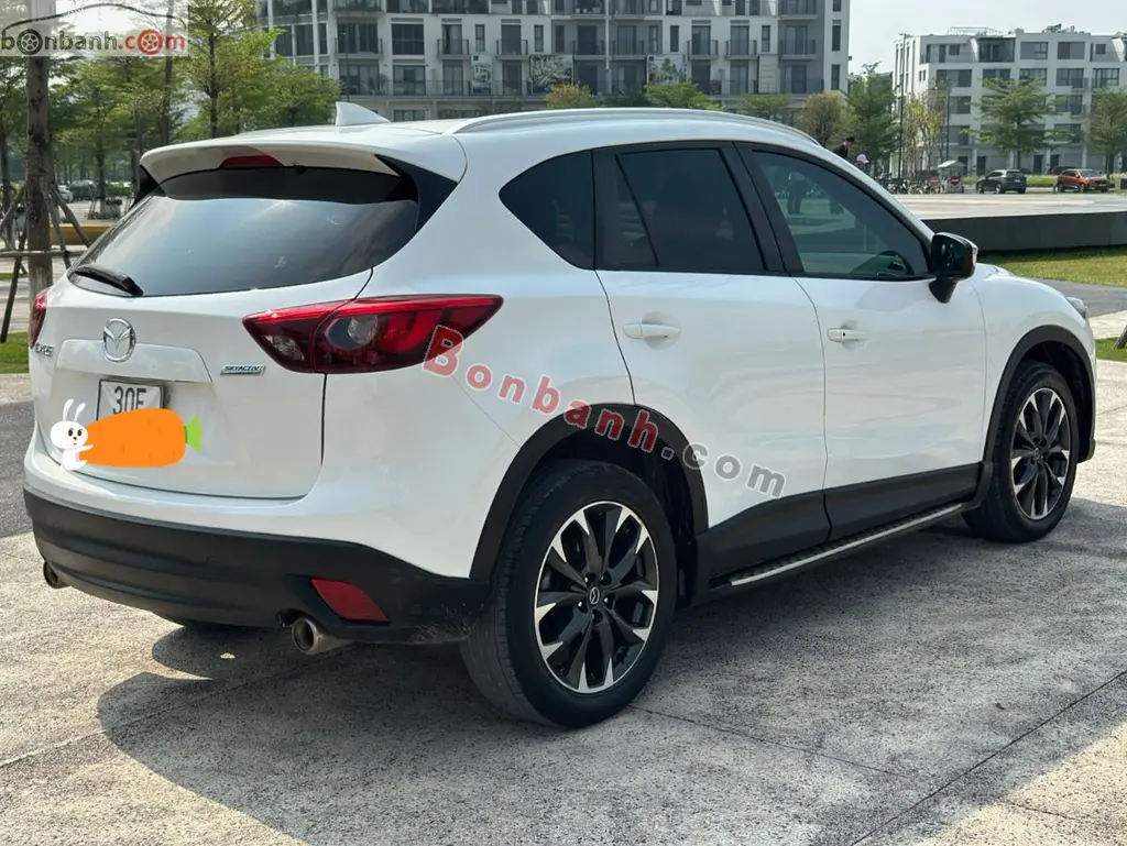 Hình ảnh số 7