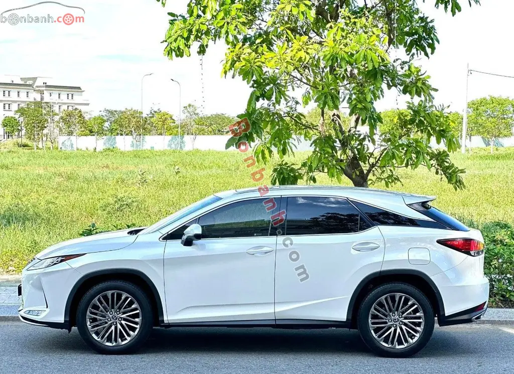 Hình ảnh số 2