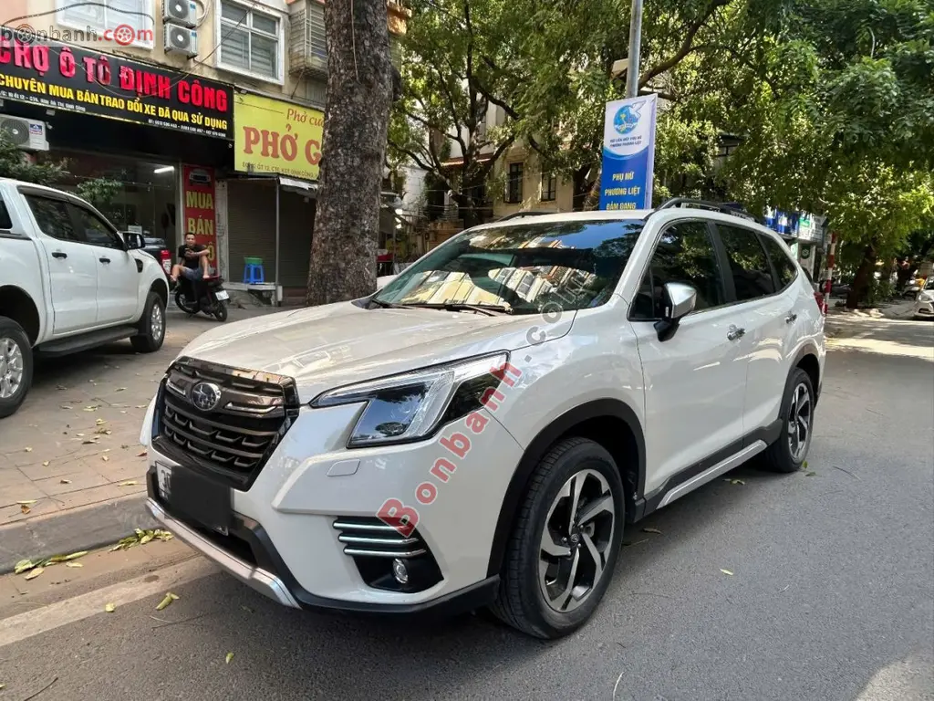 Hình ảnh số 3