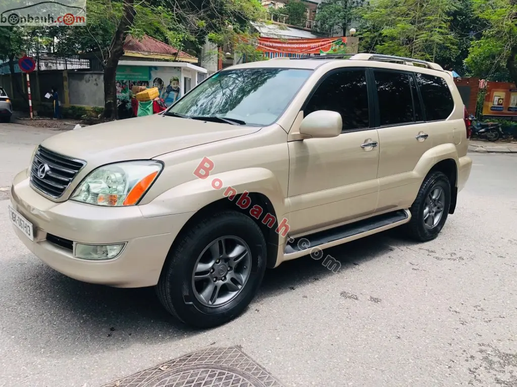 Hình ảnh số 2