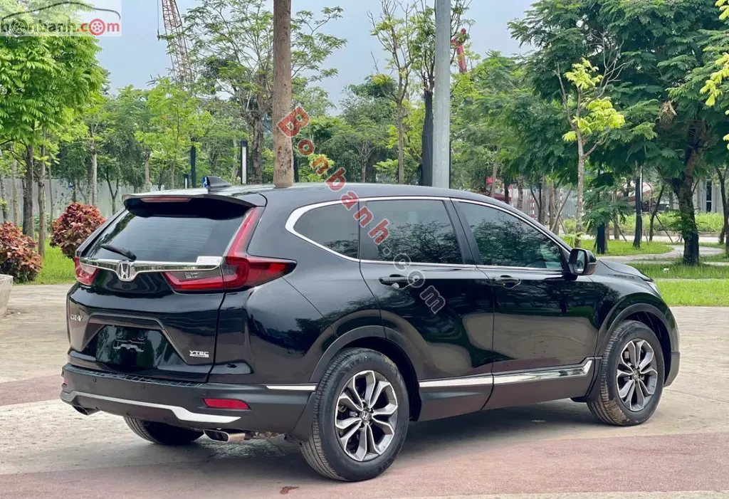 Hình ảnh số 10