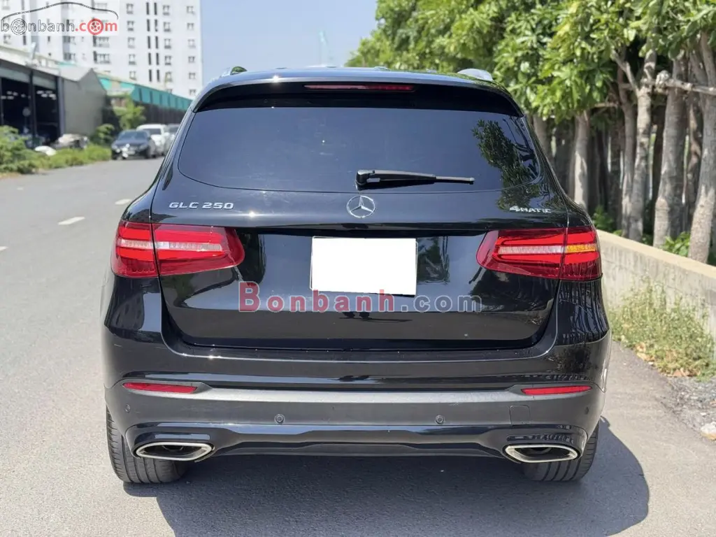 Hình ảnh số 2