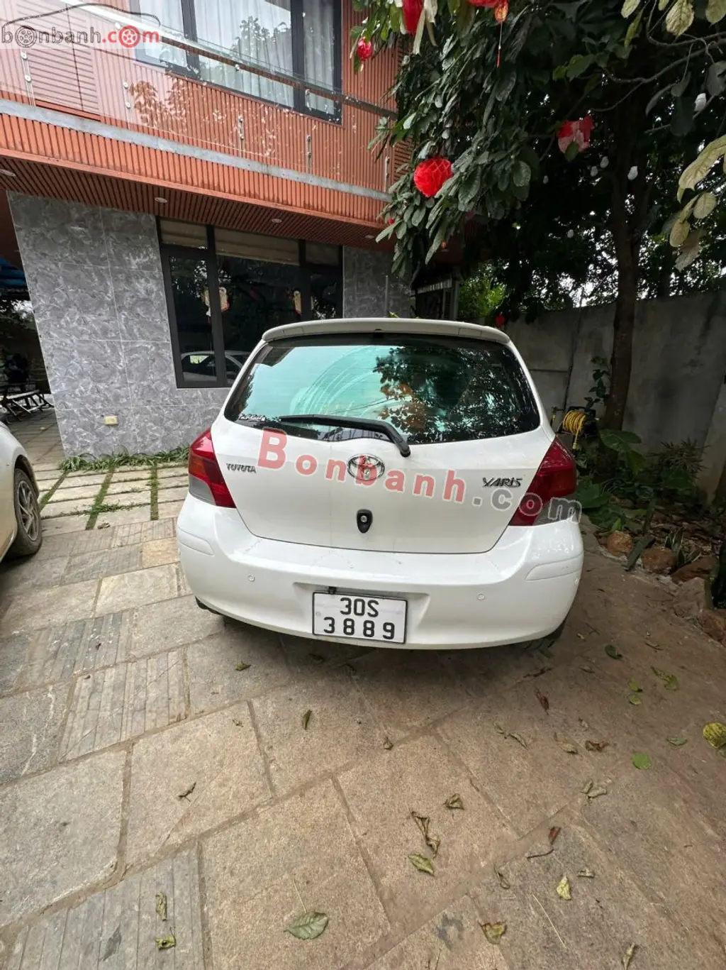 Hình ảnh số 7