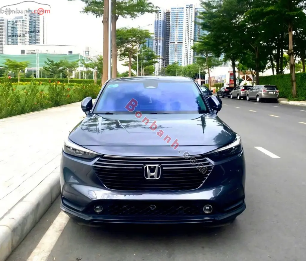 Hình ảnh số 2