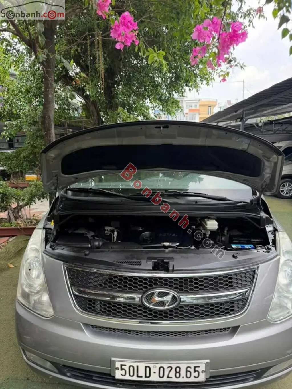 Hình ảnh số 5