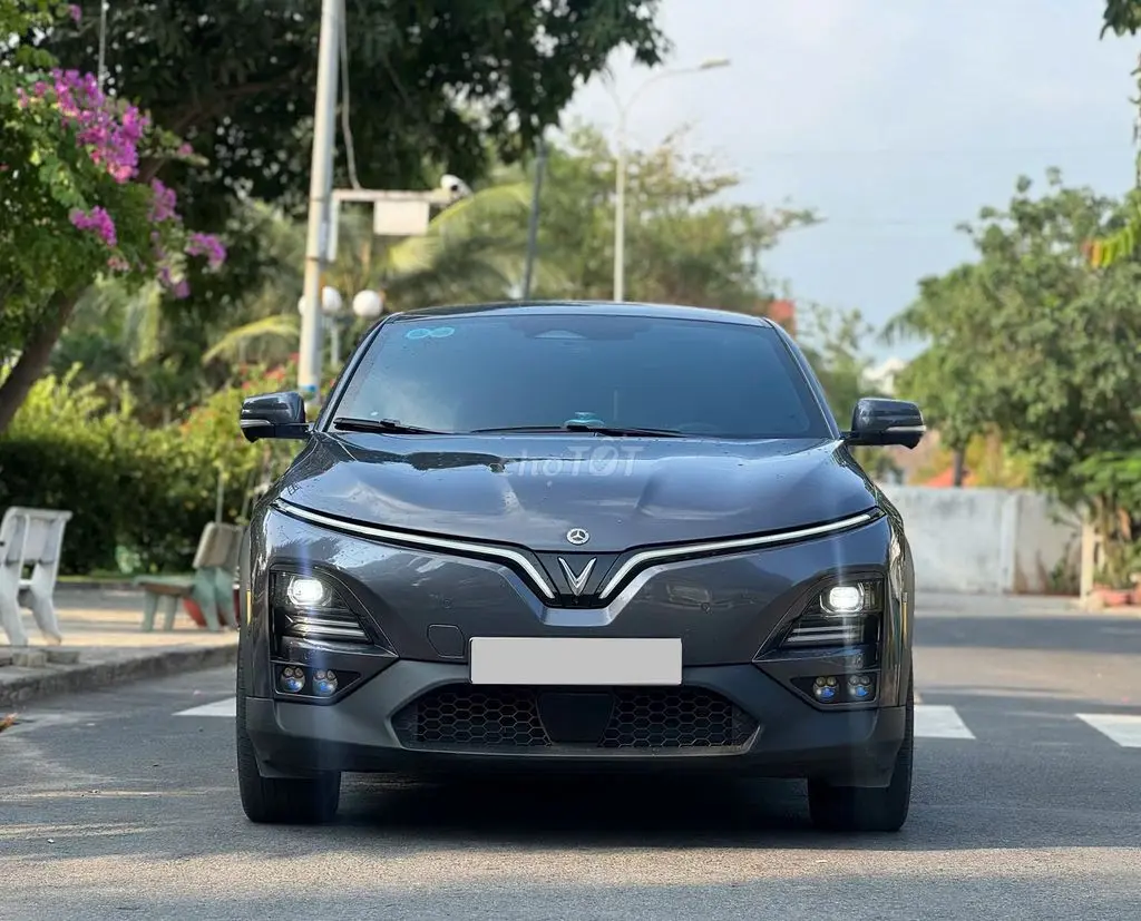Hình ảnh số 2