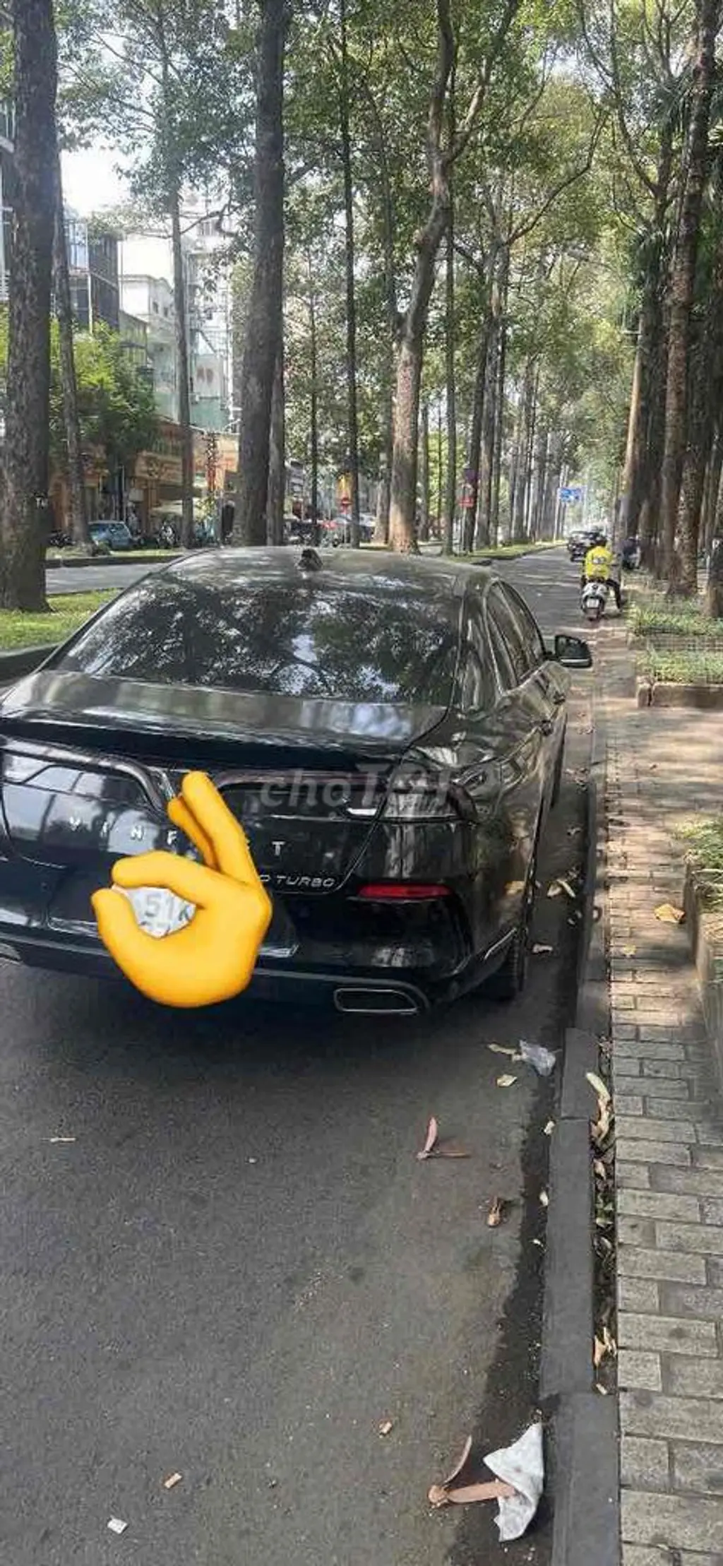 Hình ảnh số 2