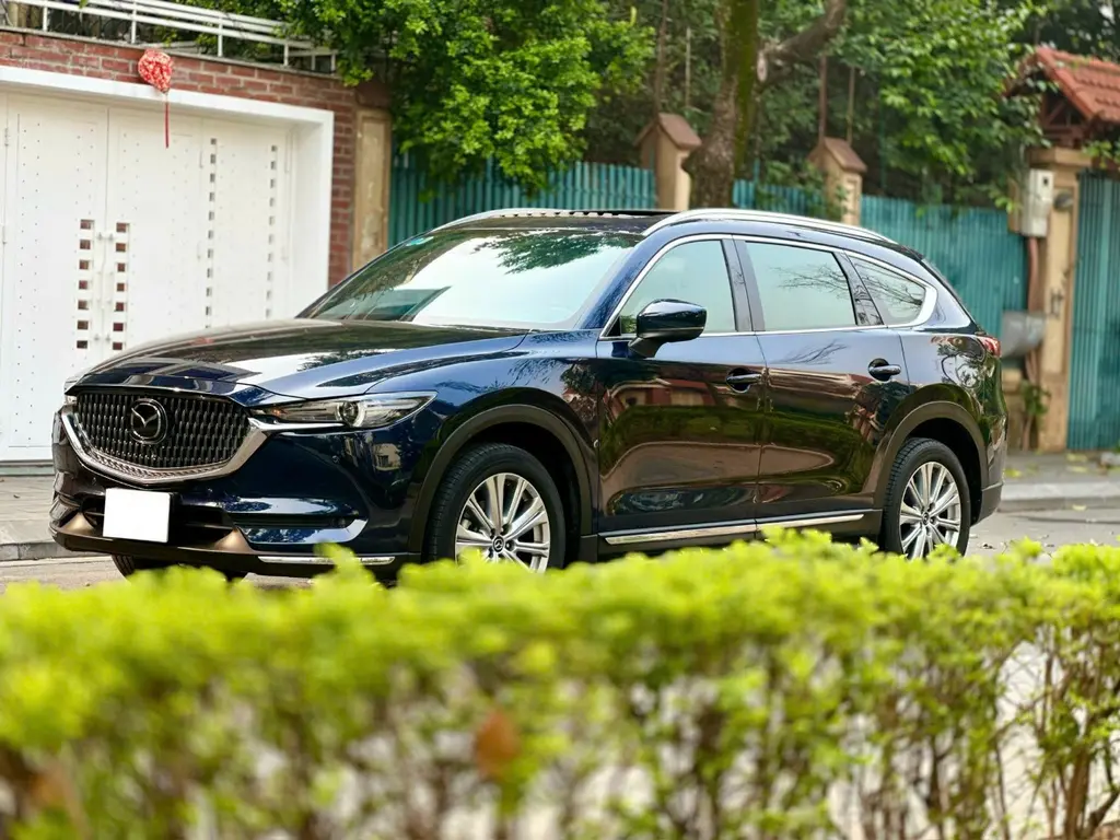 Hình ảnh số 17