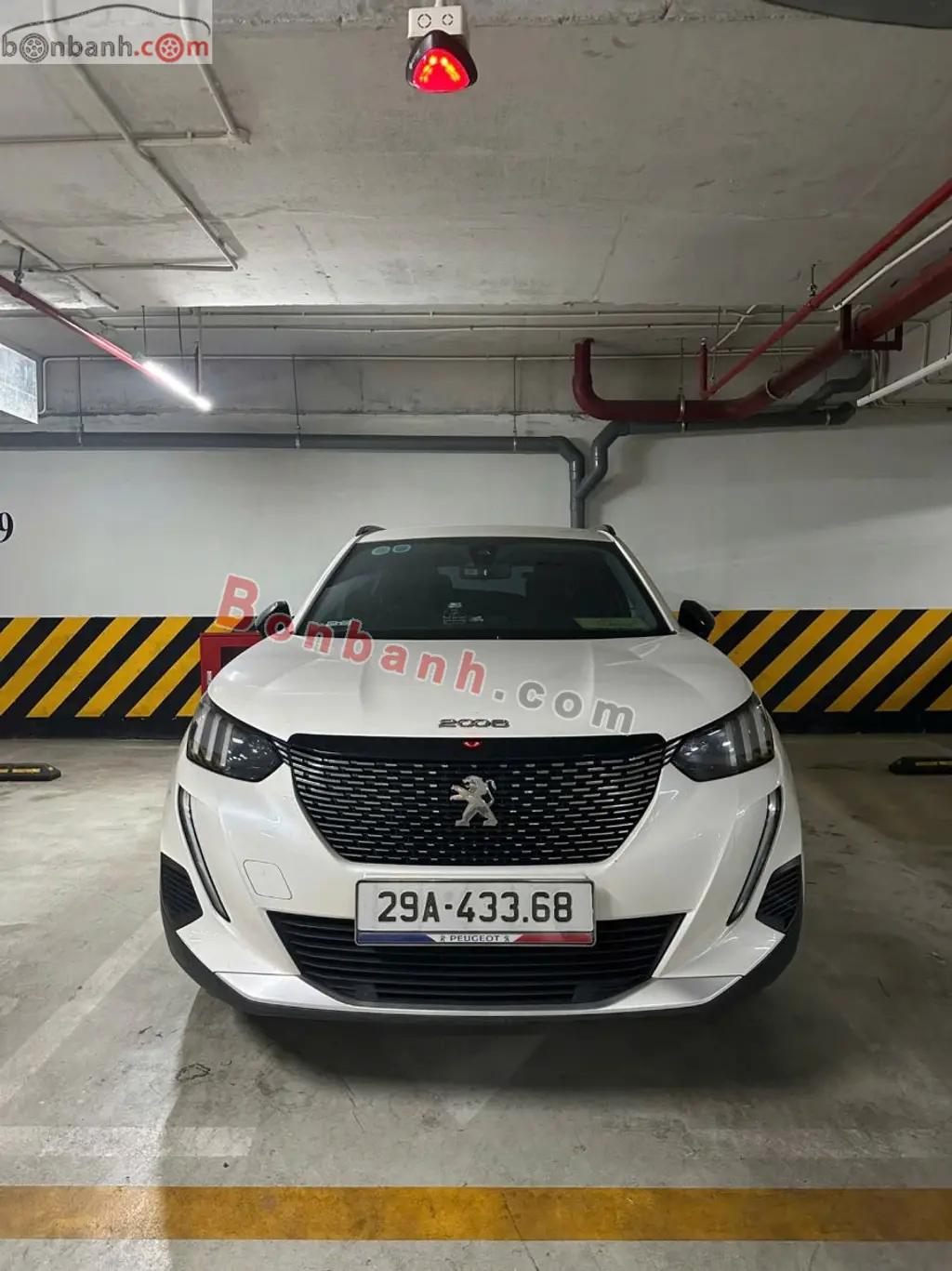 Hình ảnh số 2