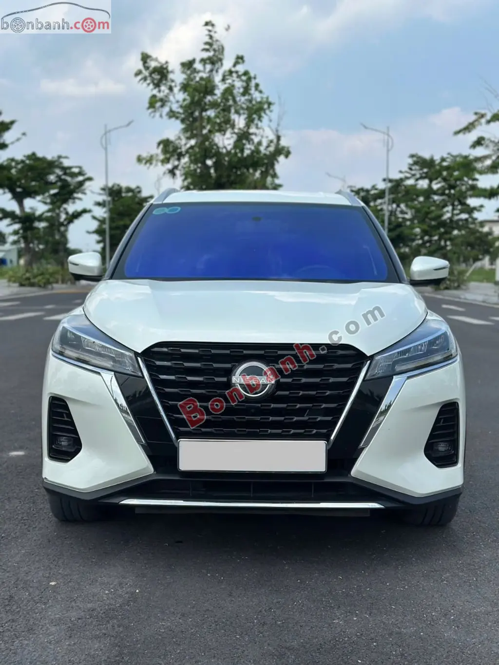 Hình ảnh số 3
