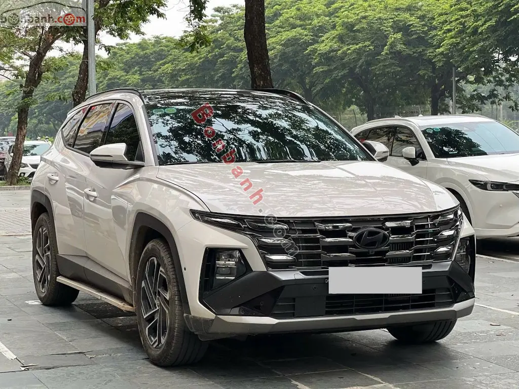 Hình ảnh số 2