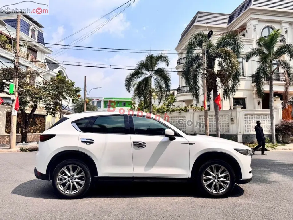 Hình ảnh số 3