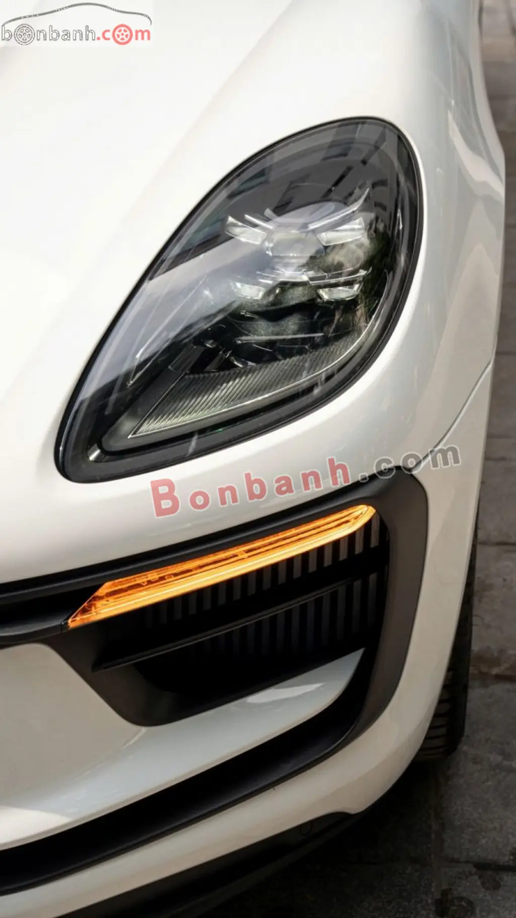 Hình ảnh số 8