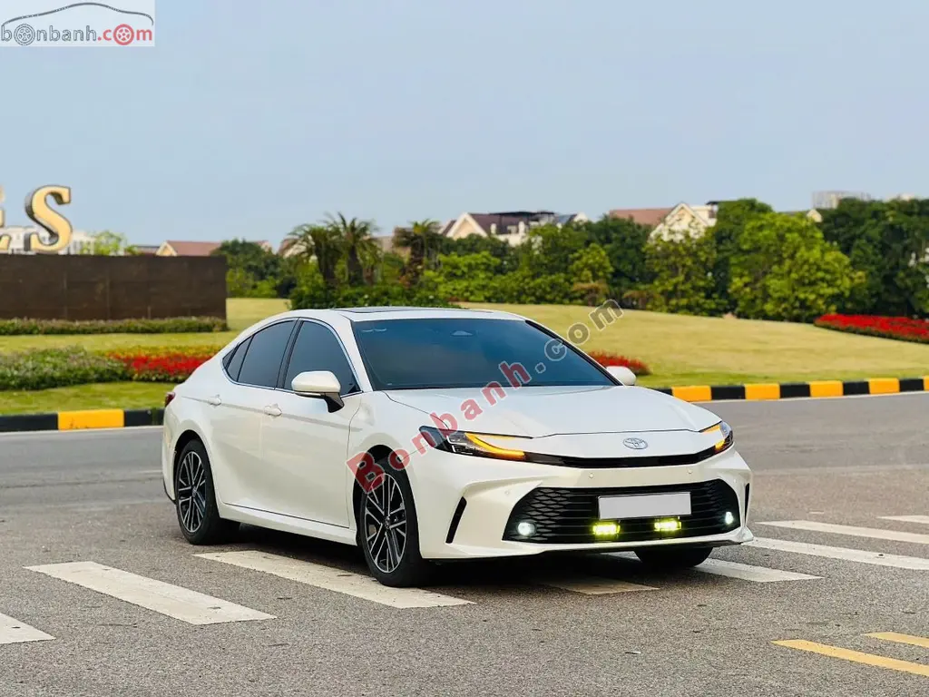 Hình ảnh số 10