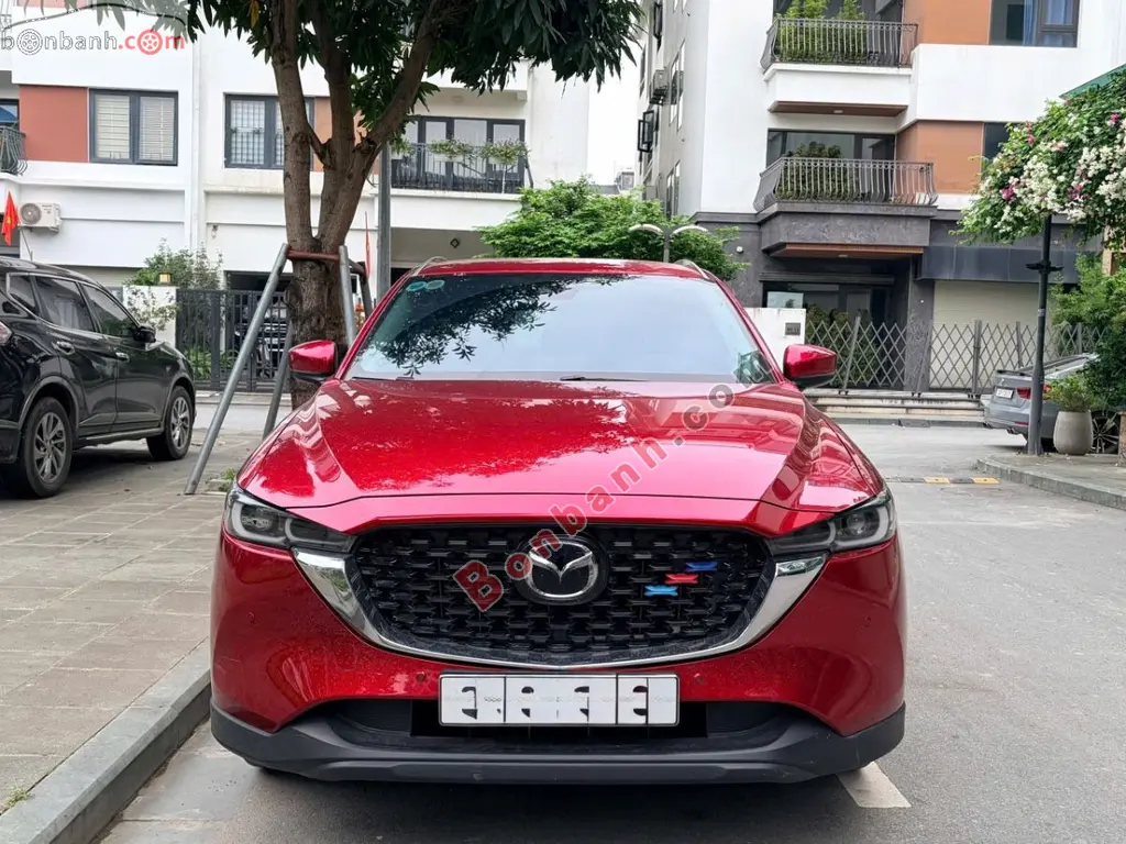 Hình ảnh số 2
