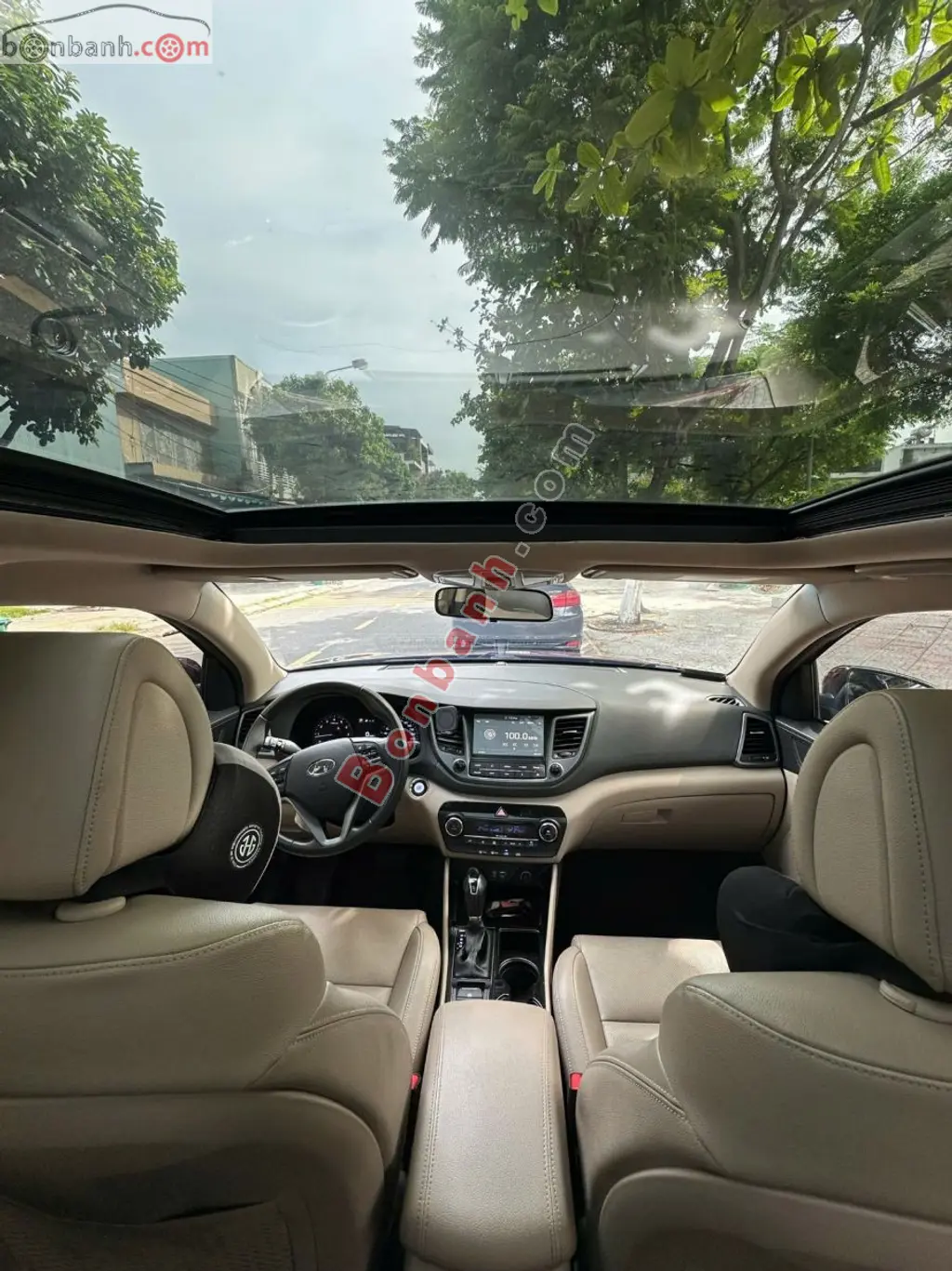 Hình ảnh số 8