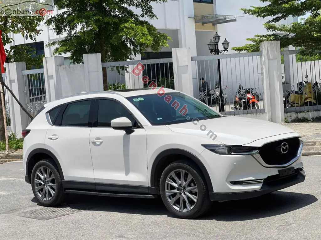 Hình ảnh số 3