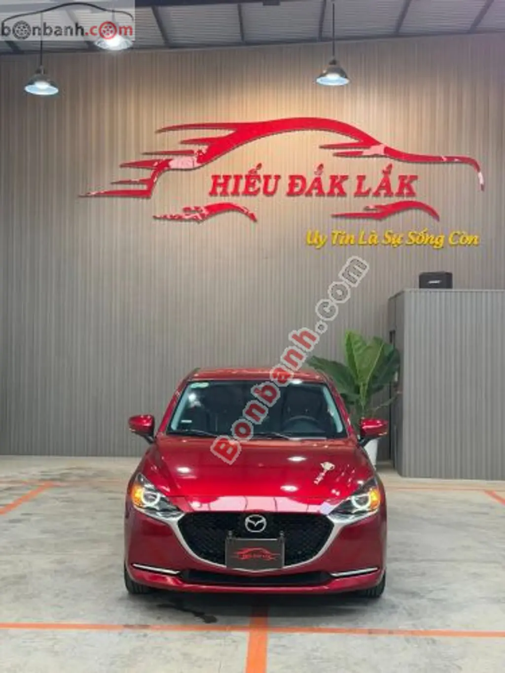 Hình ảnh số 2