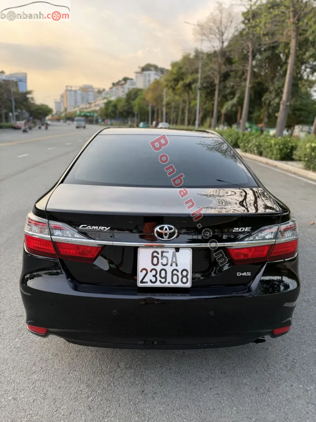 Hình ảnh số 6